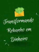 Transformando o rebanho em dinheiro