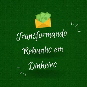 Transformando o rebanho em dinheiro
