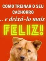 Como treinar o seu cachorro... e deixá-lo mais feliz