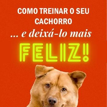 Como treinar o seu cachorro... e deixá-lo mais feliz