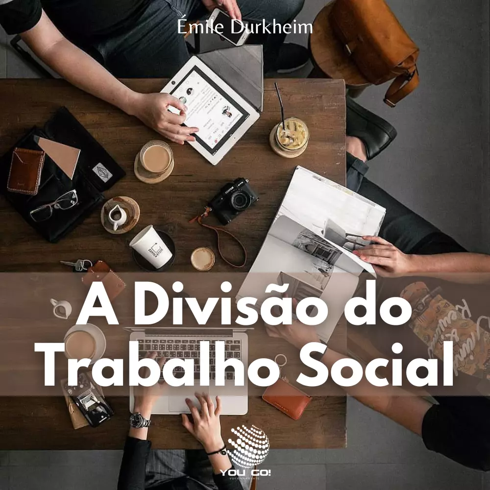 A Divisão do Trabalho Social