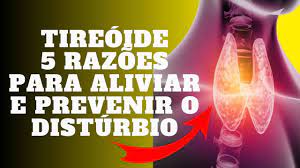 5 grandes razões para aliviar e prevenir o distúrbio da tireóide