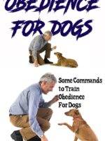 Obediência do cão