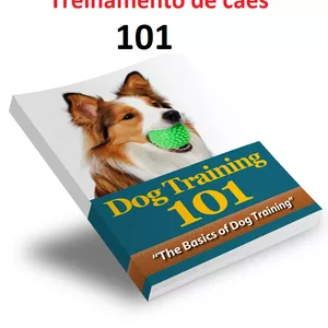 treinamento de cães 101