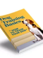 Treinamento Básico de Cães