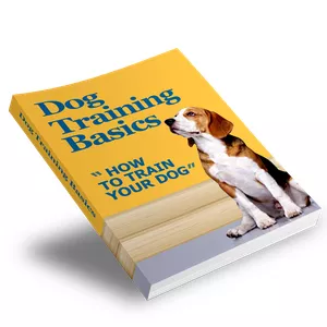 Treinamento Básico de Cães