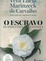 O Escravo, da África para a Senzala