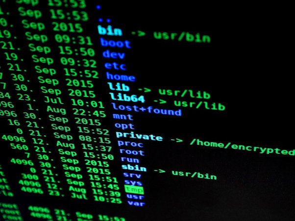 Hacker Ético Profissional com Kali Linux