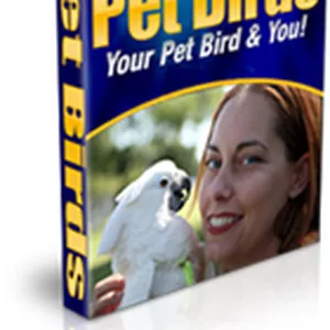 pássaros e pets