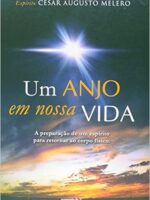 Um Anjo em Nossa Vida