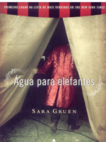 Água para elefantes