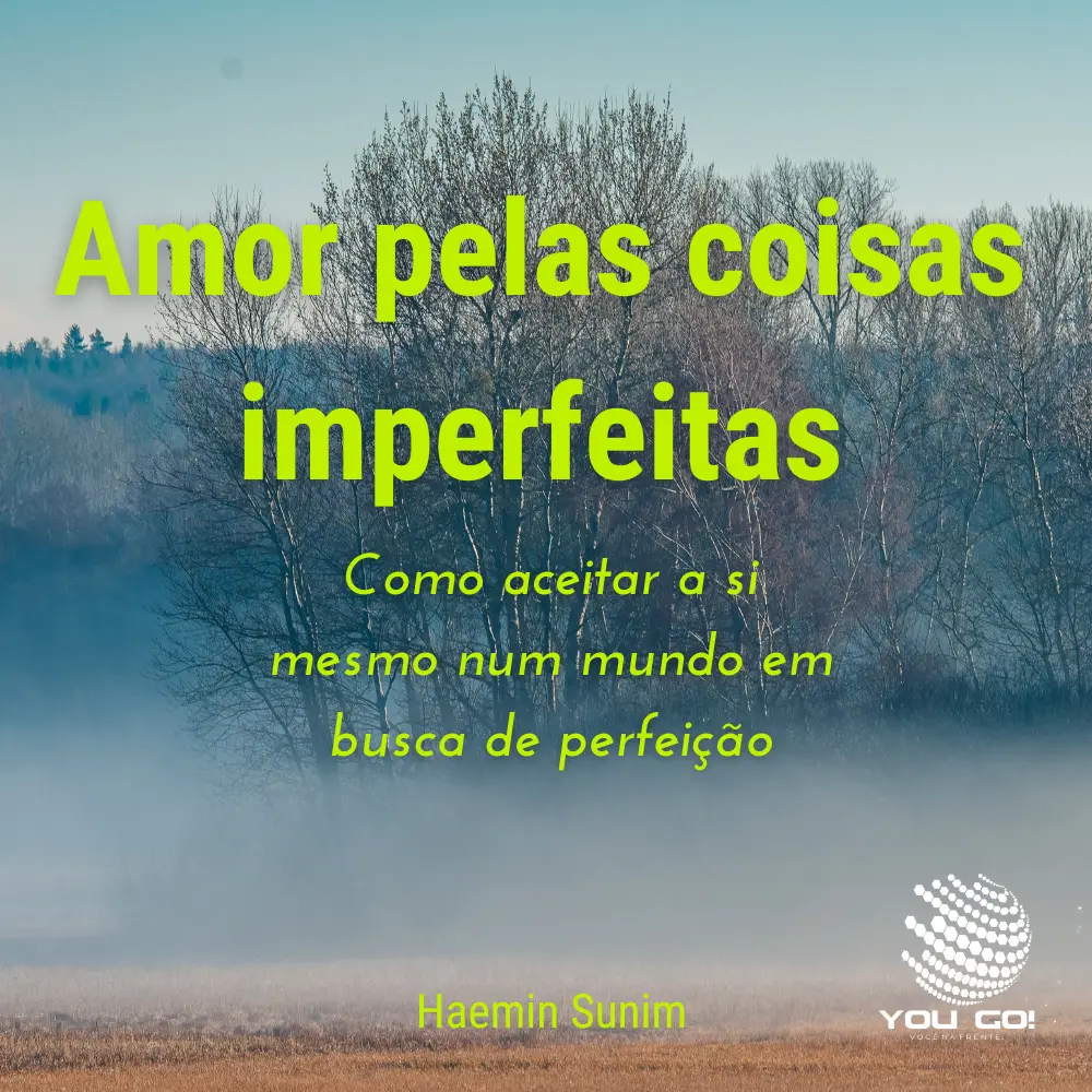 Amor pelas coisas imperfeitas: Como aceitar a si mesmo num mundo em busca de perfeição