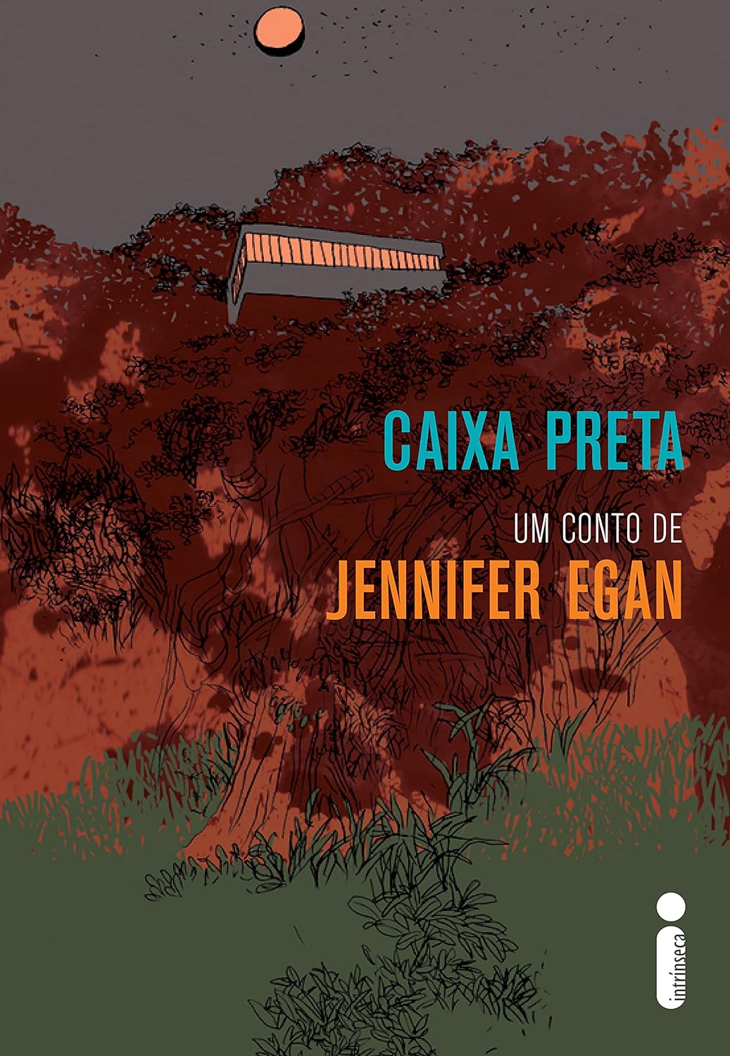 Caixa preta