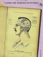 Como Me Tornei Estupido - Martin Page