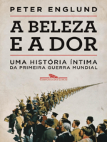 A beleza e a dor: Uma história íntima da Primeira Guerra Mundial