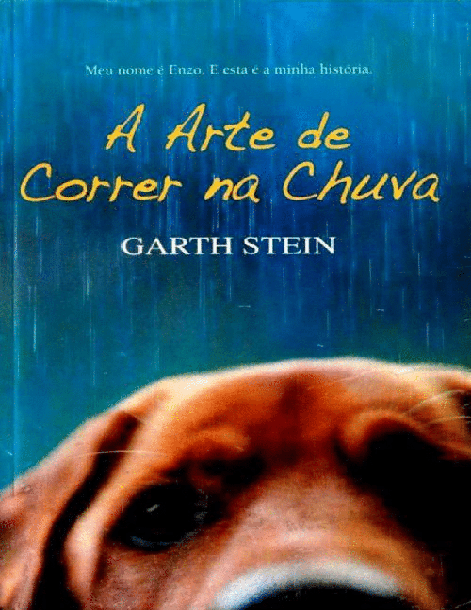 A Arte de Correr na Chuva - Garth Stein