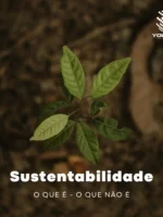 Sustentabilidade: O que é - O que não é
