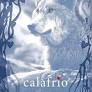 Calafrio. Os Lobos de Mercy Falls