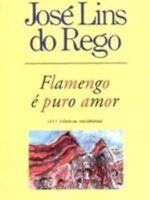 Flamengo e puro amor