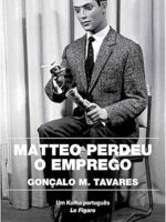 Matteo perdeu o emprego - Goncalo M. Tavares.