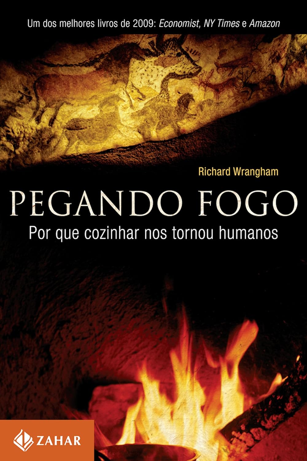 Pegando fogo: Por que cozinhar nos tornou humanos