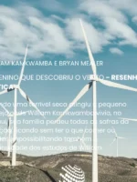 O menino que descobriu o vento