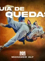 Guia de Quedas