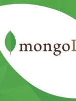Como acessar o MongoDB com o C