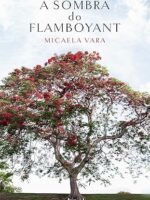 À sombra do flamboyant