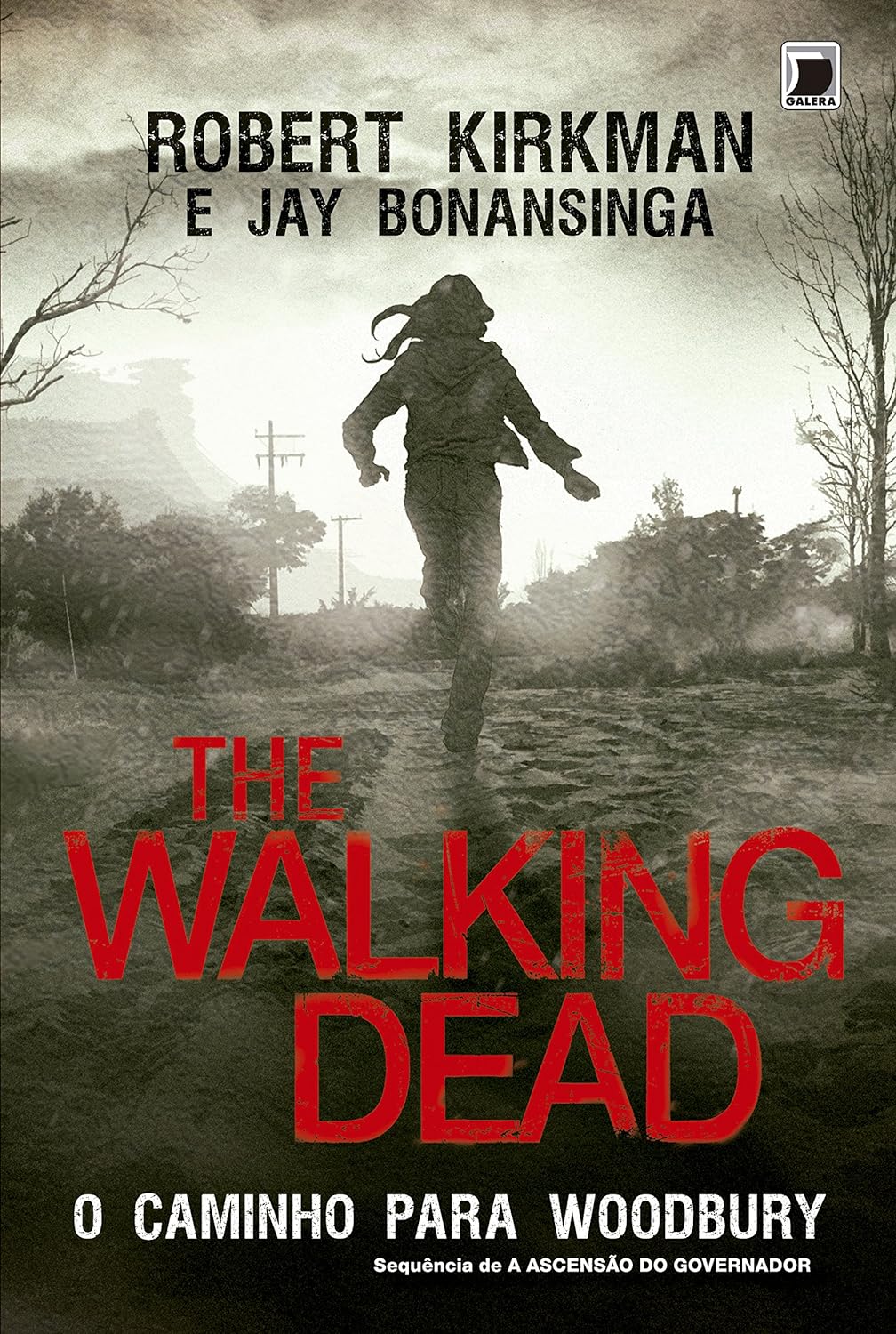 The Walking Dead: O caminho para Woodbury