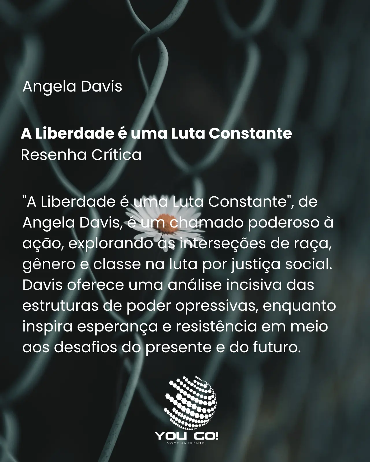 A Liberdade é uma Luta Constante - Angela Davis