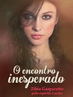 O encontro inesperado - Zibia Gasparetto