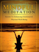 Domínio de meditação consciente