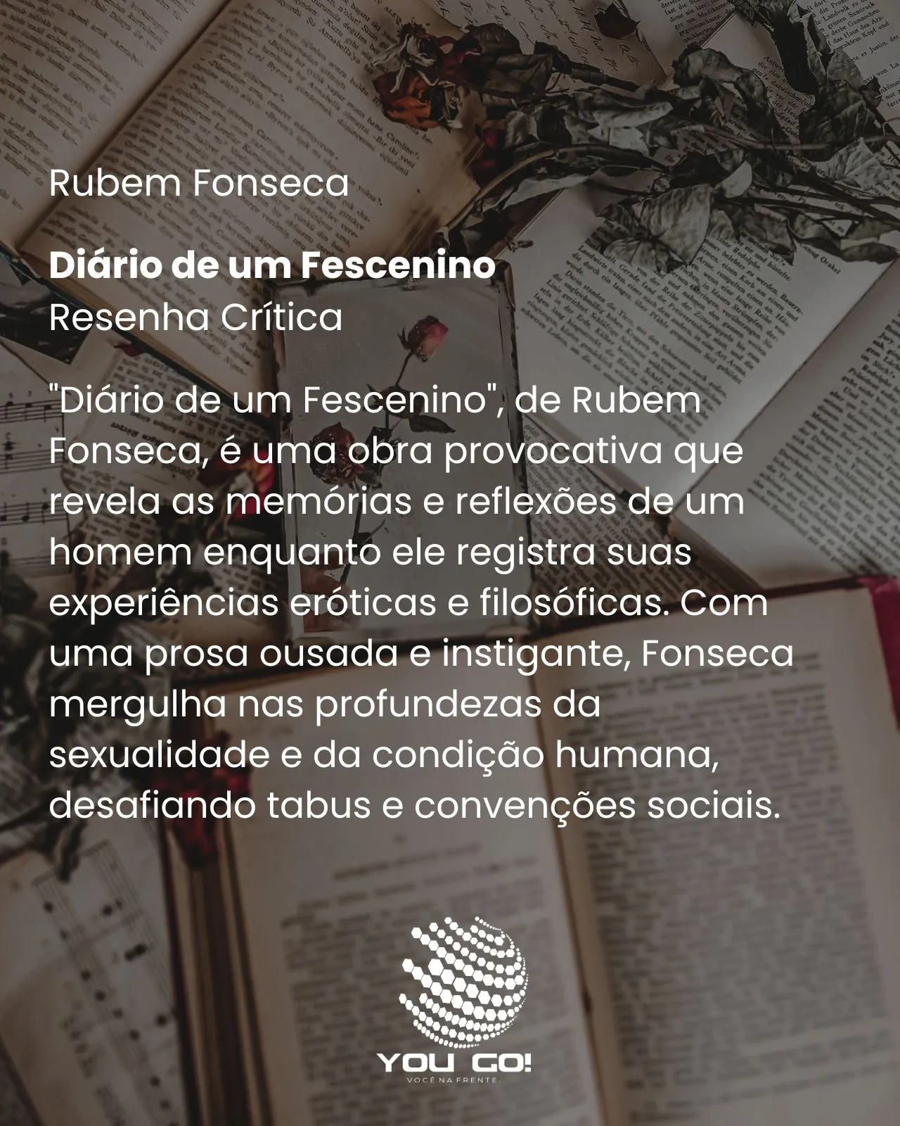 Diário de um Fescenino - Rubem Fonseca
