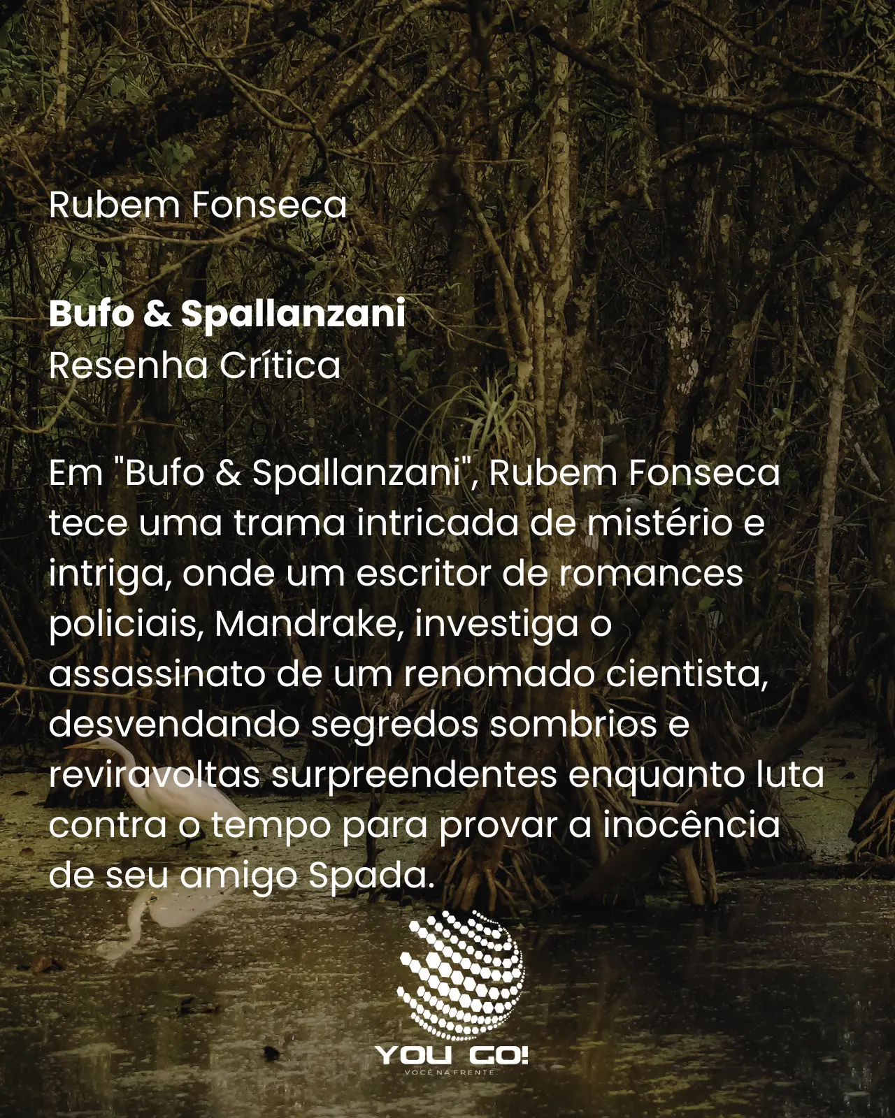 Bufo & Spallanzani - Rubem Fonseca
