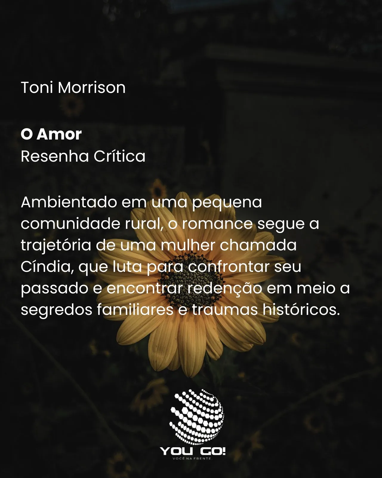 O Amor - Toni Morrison