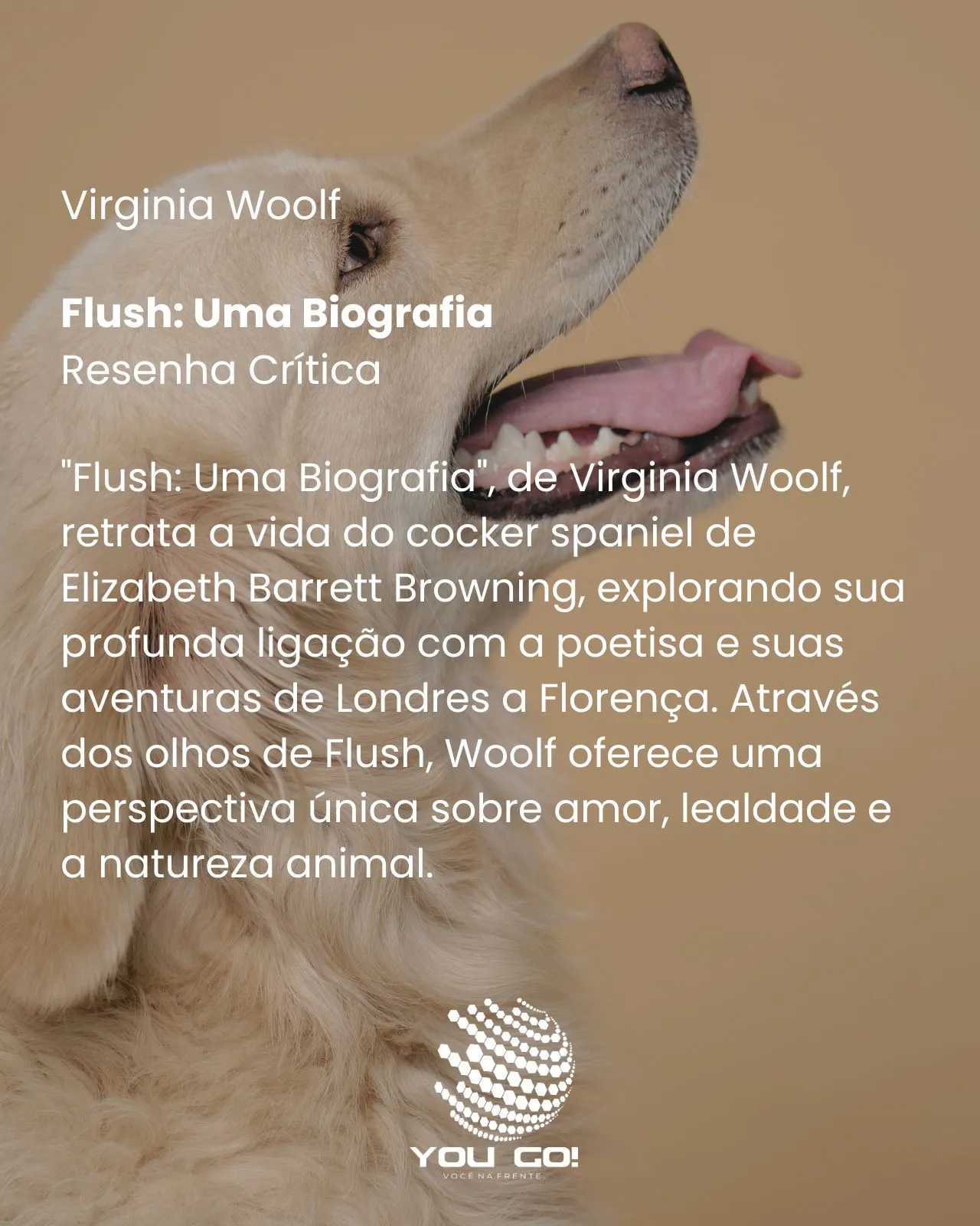 Flush: Uma Biografia - Virginia Woolf