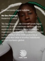 No Seu Pescoço - Chimamanda Ngozi Adichie
