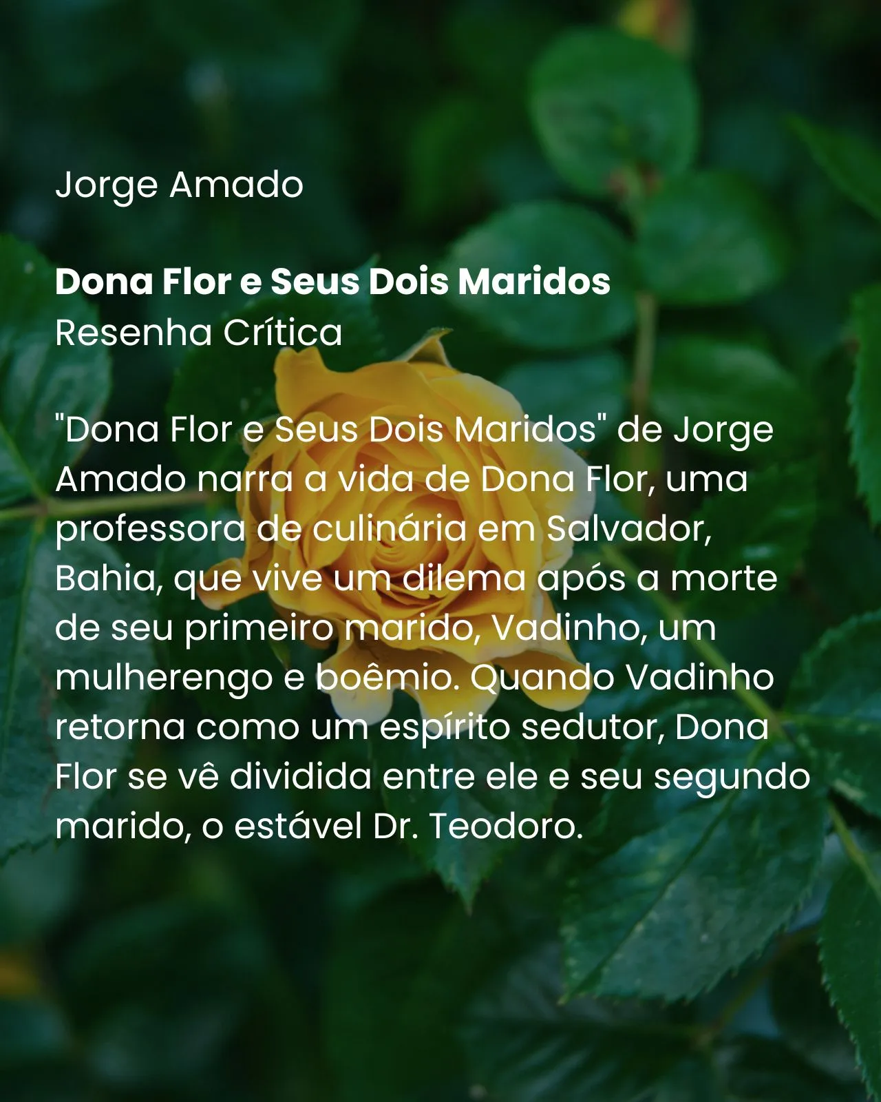 Dona Flor e Seus Dois Maridos - Jorge Amado