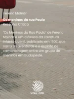 Os meninos da rua Paulo