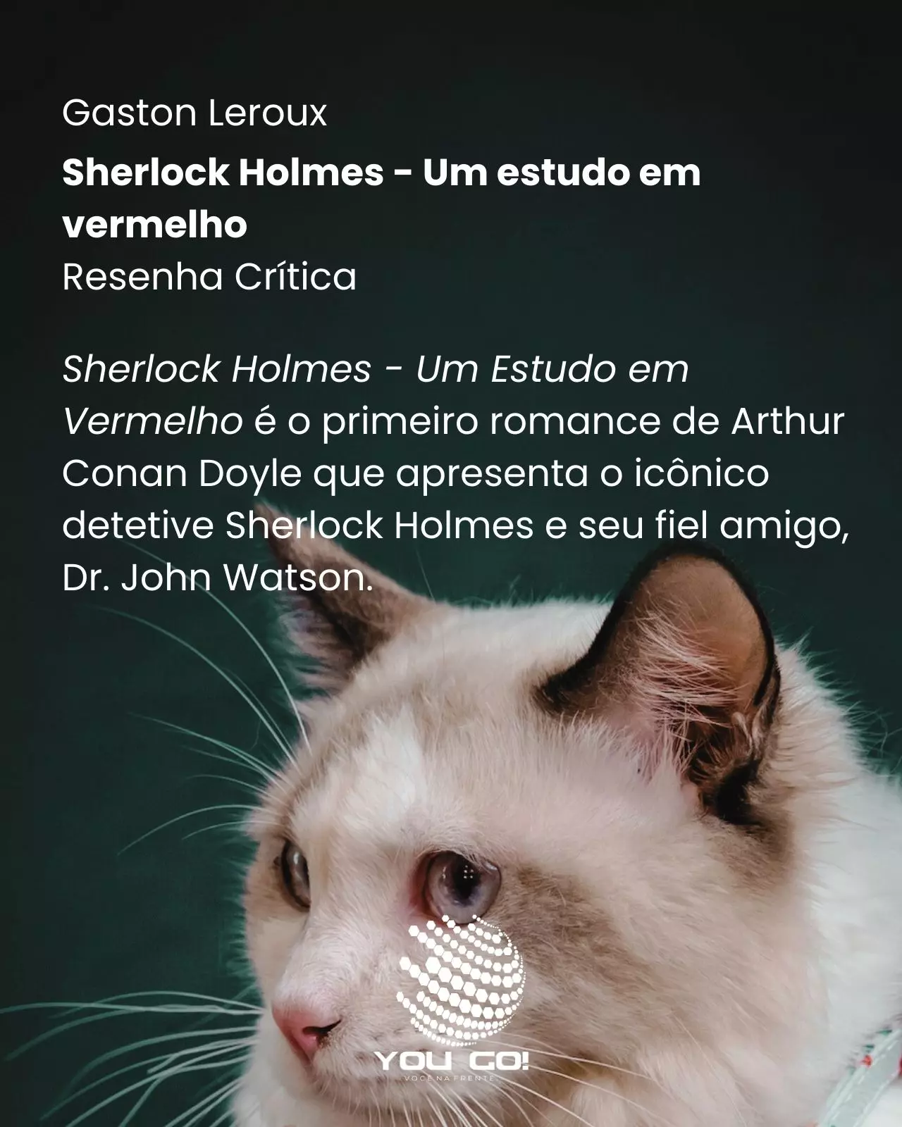 Sherlock Holmes - Um estudo em vermelho