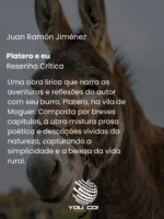 Platero e eu