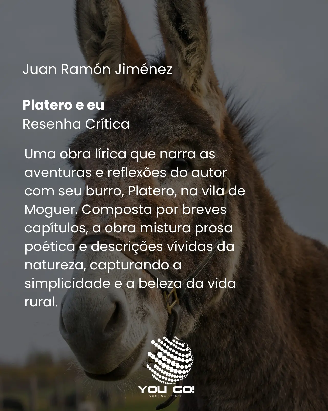 Platero e eu