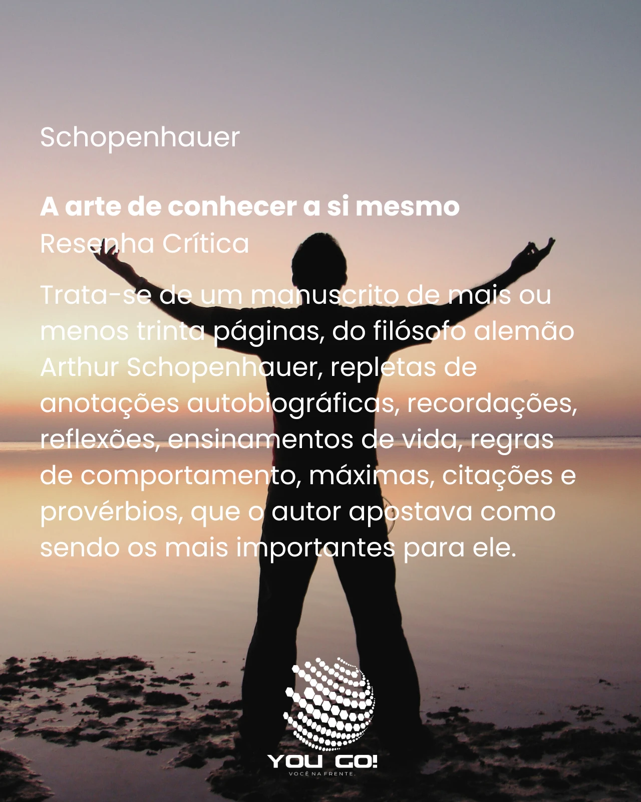 A arte de conhecer a si mesmo – Schopenhauer