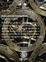 Aprendendo inteligência – Prof. Pier