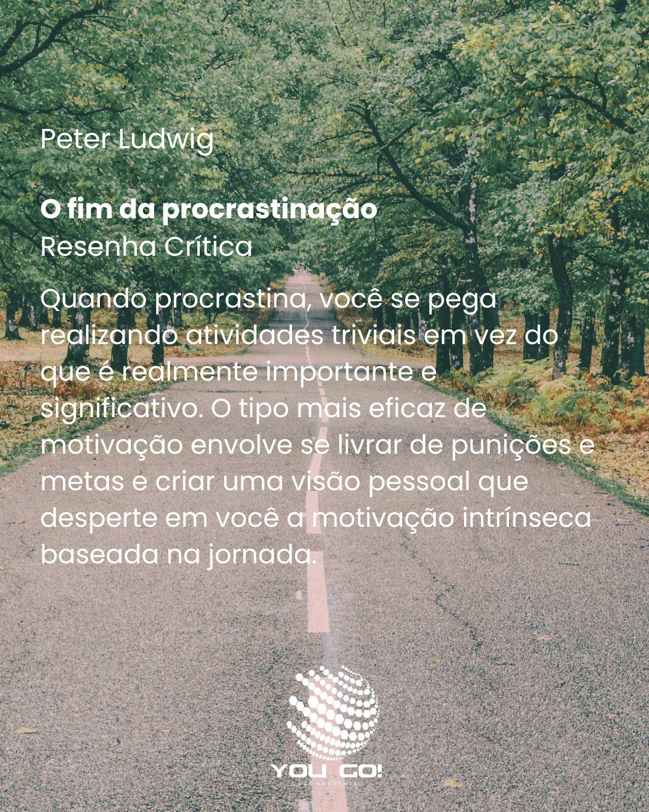 O fim da procrastinação – Peter Ludwig