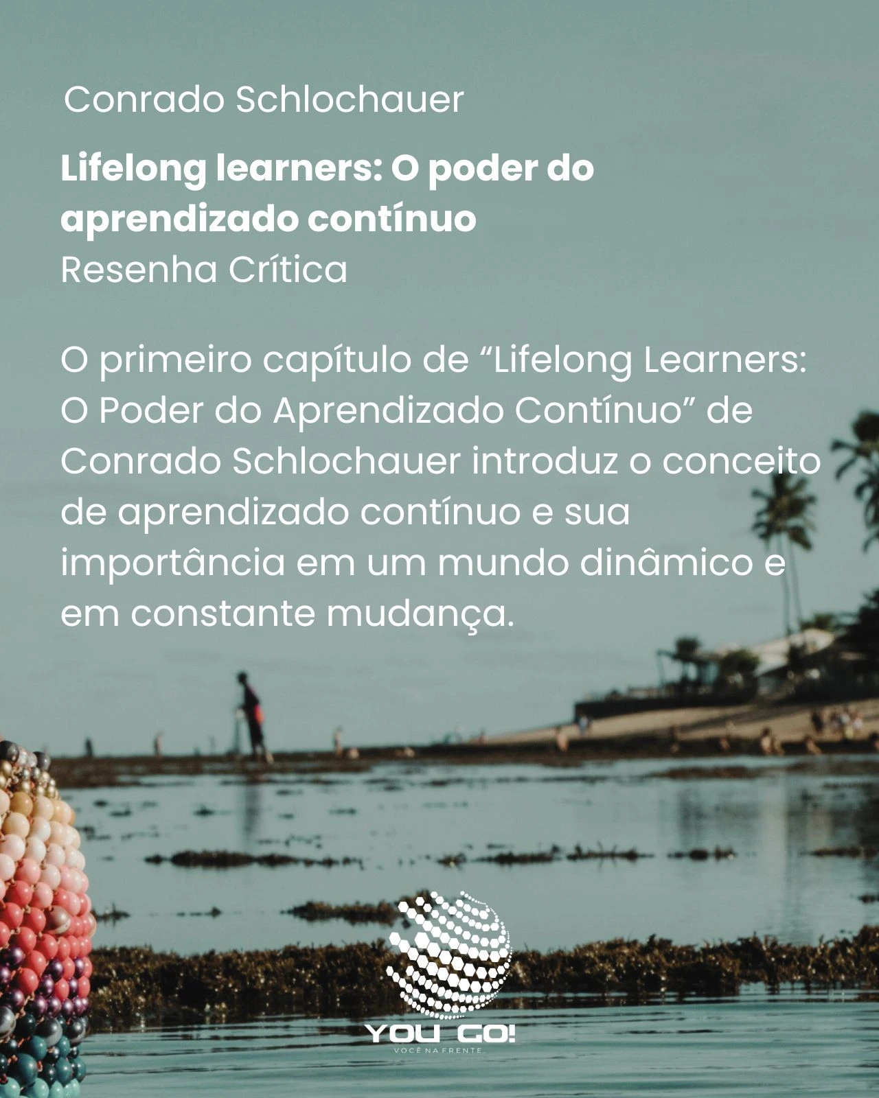 Lifelong learners_ O poder do aprendizado contínuo