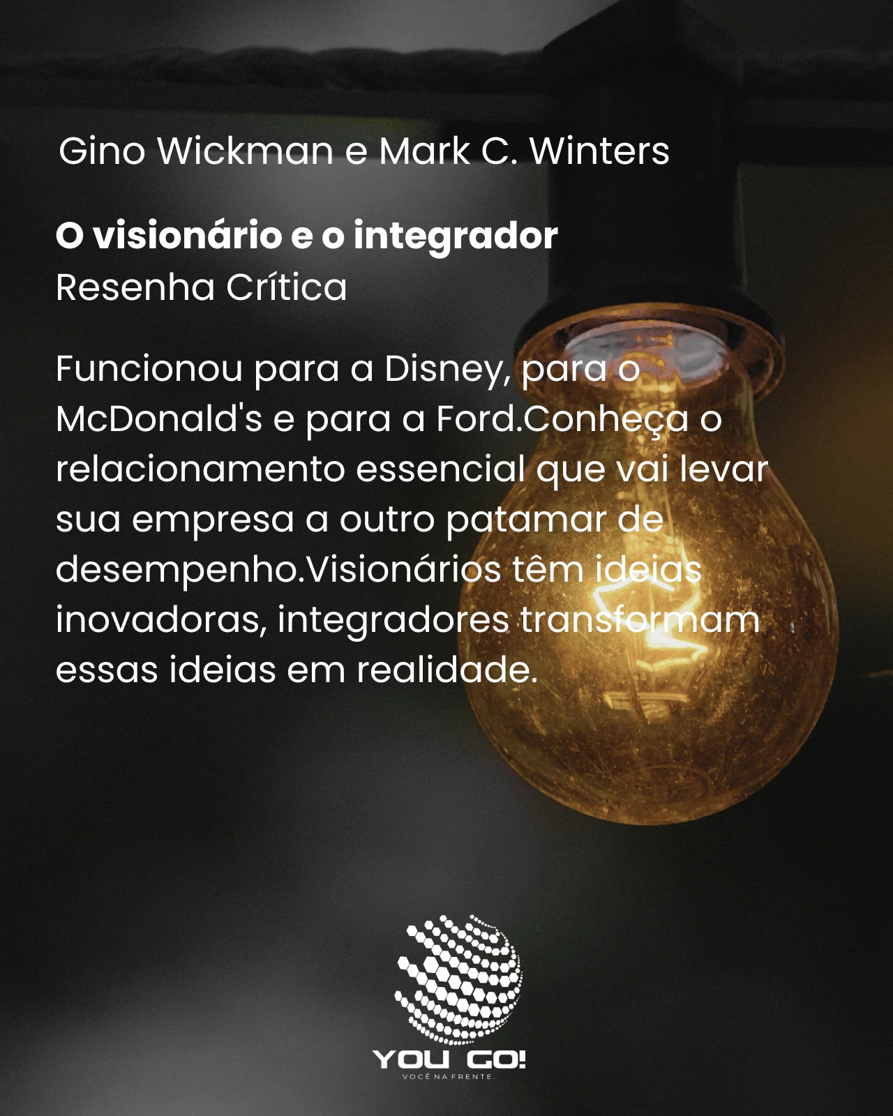 O visionário e o integrador