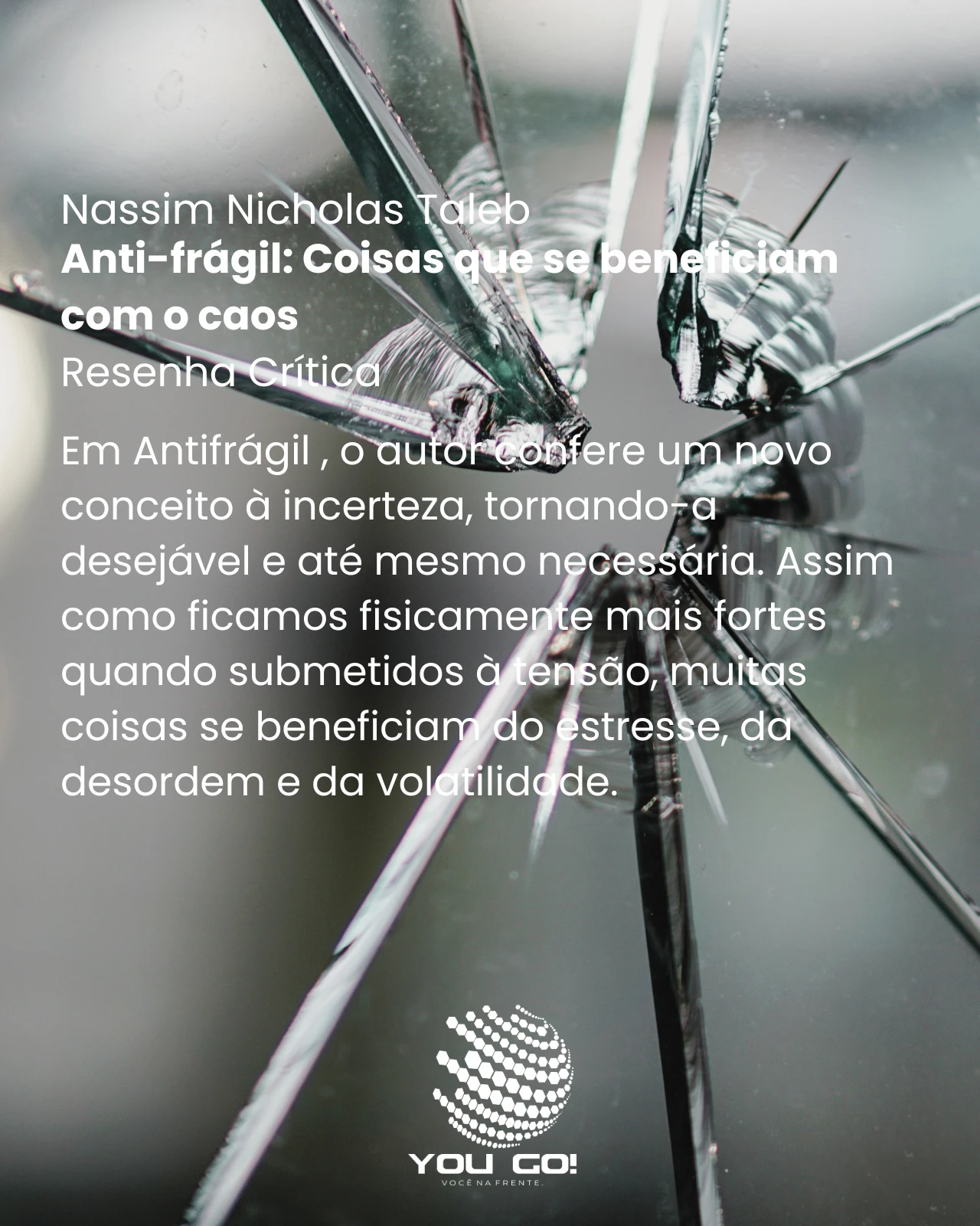 Anti-frágil_ Coisas que se beneficiam com o caos