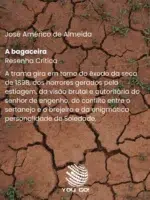 A bagaceira